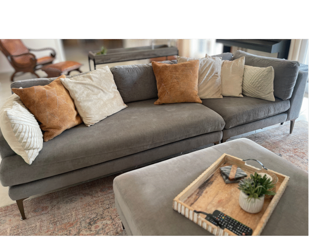 West Elm Sofa Review, Pet-friendly Sofa, easy-to-clean-sofa