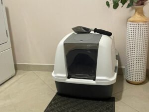 multi-cat litter box