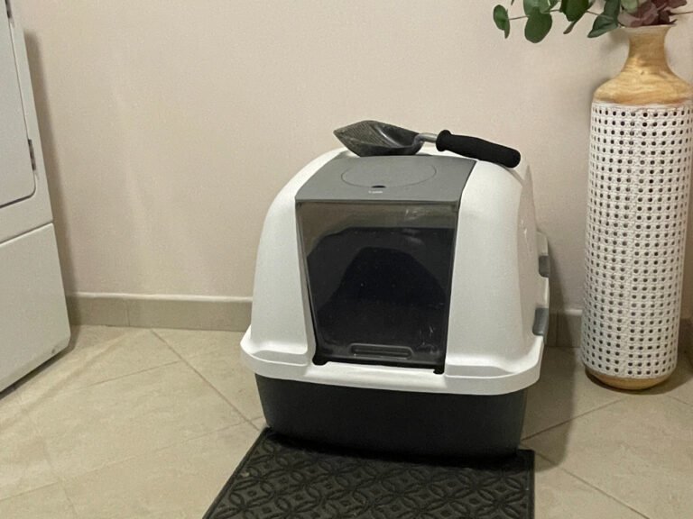 multi-cat litter box
