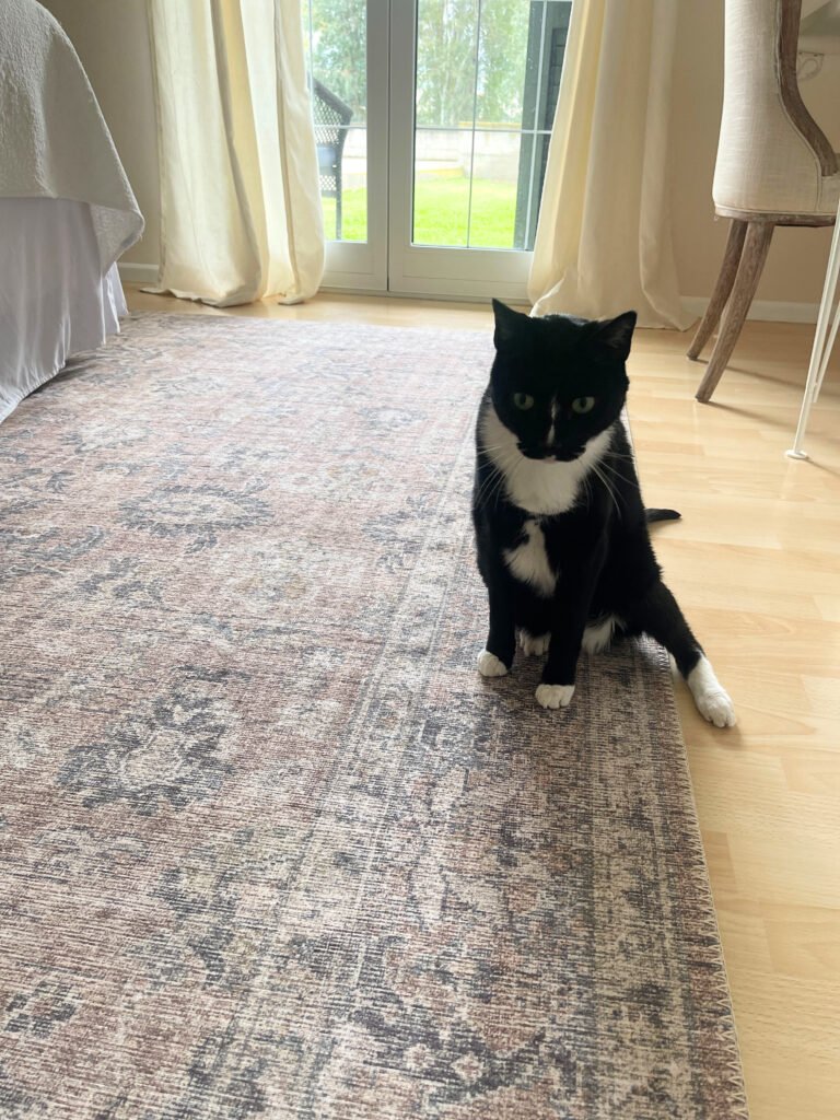 Neutral low-pile bedroom rug for homes with pets, durable and easy to clean