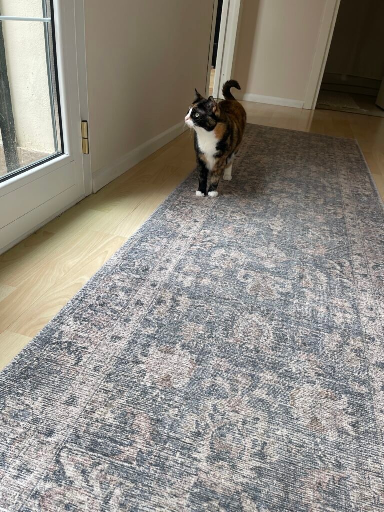 Neutral low-pile hallway rug in home with cats and dogs – durable option for multi-pet spaces