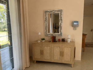 hidden litter box furniture